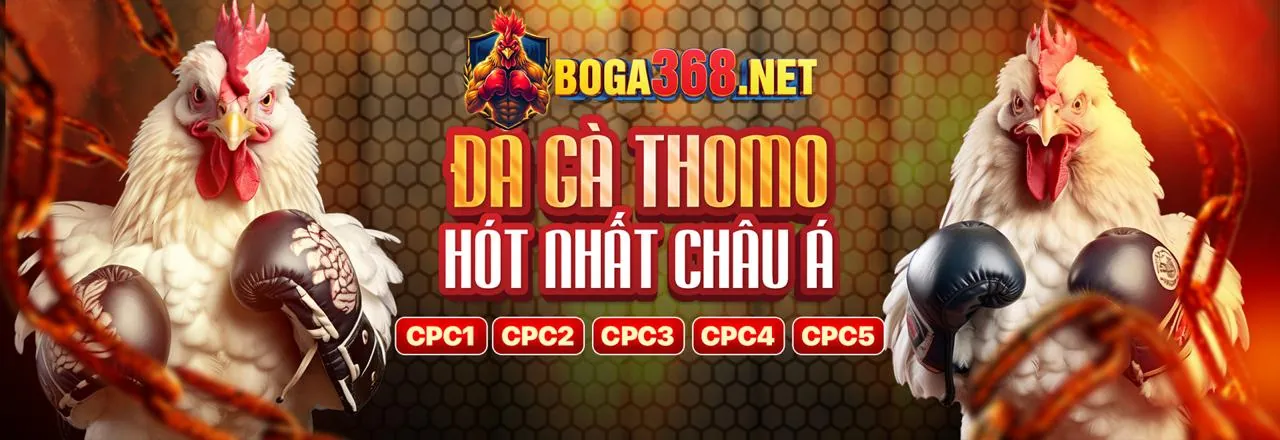 Đá Gà Trực Tuyến w66 Chính Thức 2026